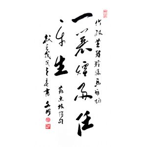 一蓑烟雨任平生