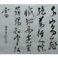 习作 习作