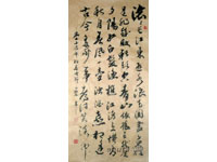 鷨